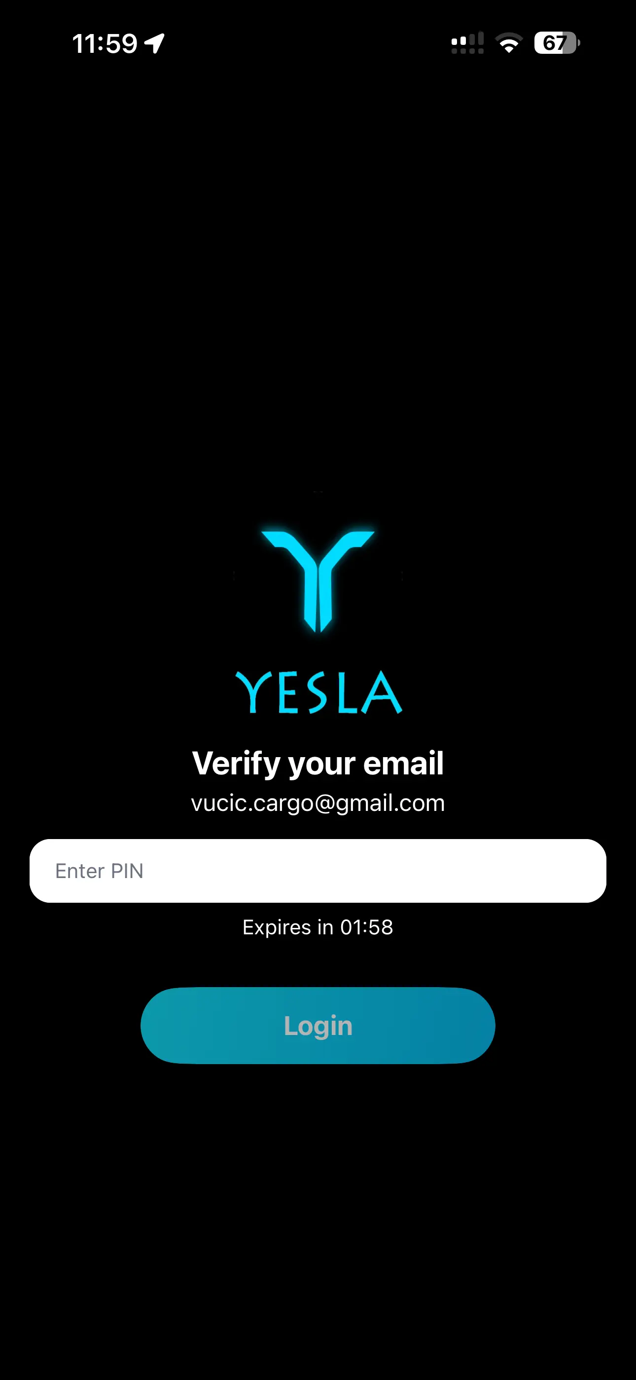 YESLA app PIN verification screen